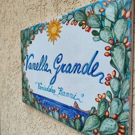 Vanella Grande Aspra *