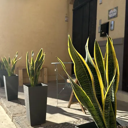 Vanella Grande Aspra Apartment *
